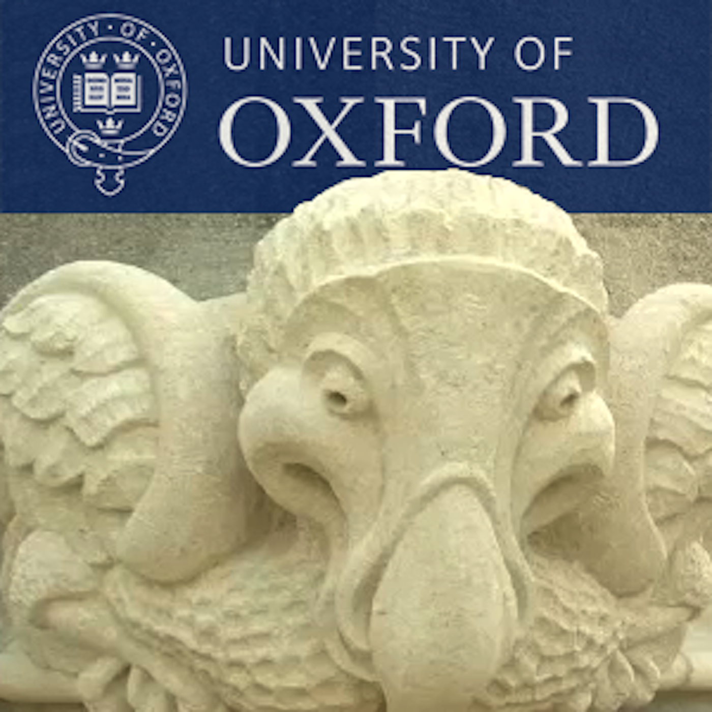 The Oxford Year